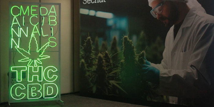 Medical Cannabis Fair 2025
